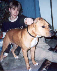 wpeB.jpg (36389 bytes)