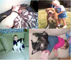 wpe2C.jpg (56824 bytes)