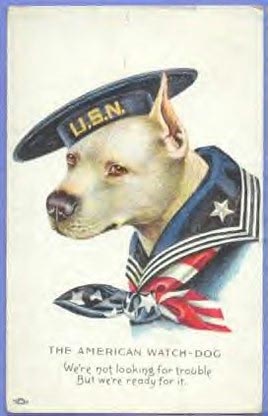 military pit bull poster
