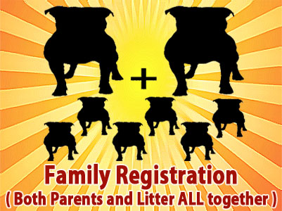 APBR PitBull Family registration