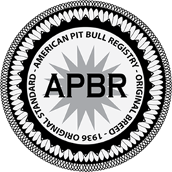 american pit bull registry