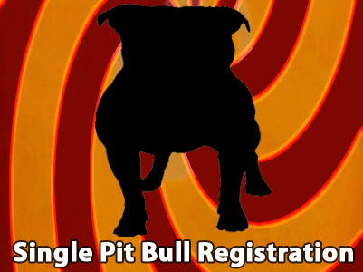 APBR PitBull single Pit Bull registration
