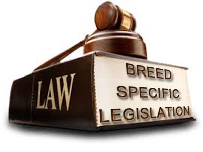 Pit Bull Breed Specific Legislation - BSL
