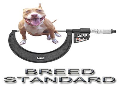 Pit Bull breed standard