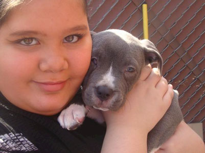 Pit Bull pictures