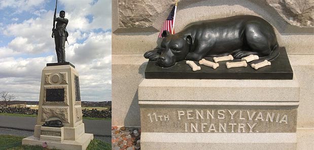 sallie civil war pit bull