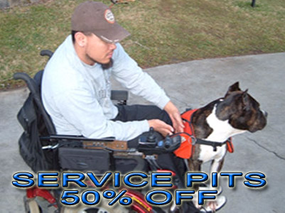pit bull service dog discount registration